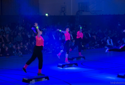 Sportshow SV Fun-Ball - Step-Aerobic